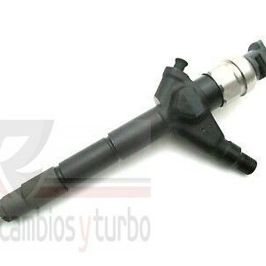 Inyector Intercambio 095000-6250