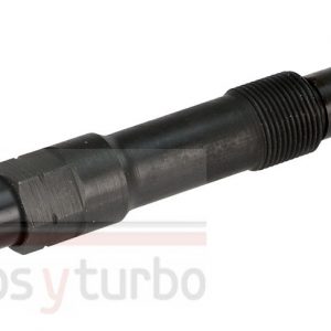 Inyector nuevo R00402Z